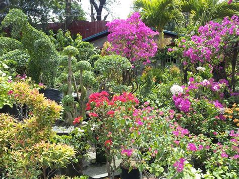 Mga uri ng sahig: mga halaman para sa landscaping, .